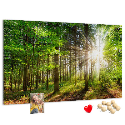 Korktafel mit dem Motiv Sonnenstrahlen im grünen Wald