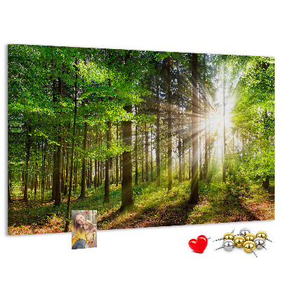 Korktafel mit dem Motiv Sonnenstrahlen im grünen Wald