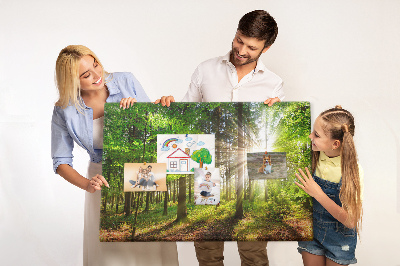 Korktafel mit dem Motiv Sonnenstrahlen im grünen Wald