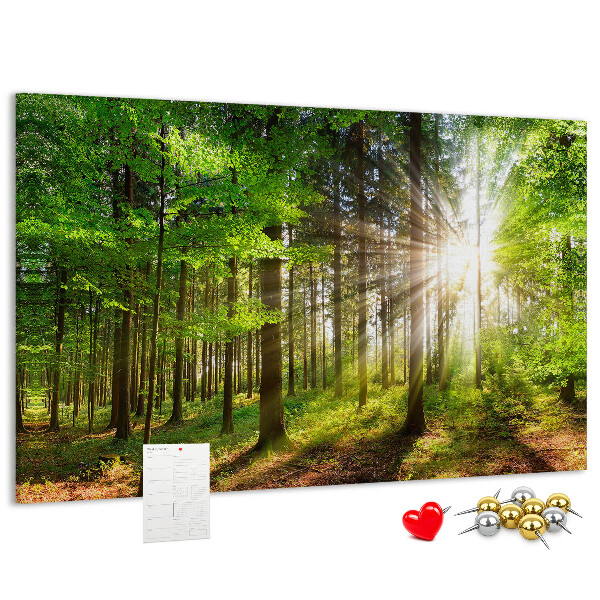 Korktafel mit dem Motiv Sonnenstrahlen im grünen Wald
