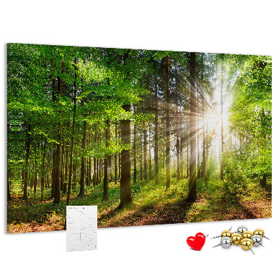 Korktafel mit dem Motiv Sonnenstrahlen im grünen Wald