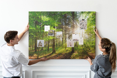 Korktafel mit dem Motiv Sonnenstrahlen im grünen Wald