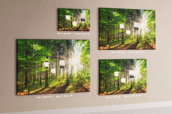 Korktafel mit dem Motiv Sonnenstrahlen im grünen Wald