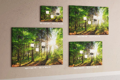 Korktafel mit dem Motiv Sonnenstrahlen im grünen Wald