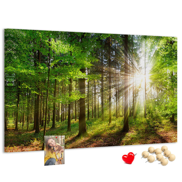 Korktafel mit dem Motiv Sonnenstrahlen im grünen Wald