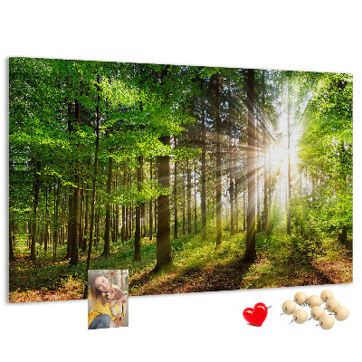 Korktafel mit dem Motiv Sonnenstrahlen im grünen Wald