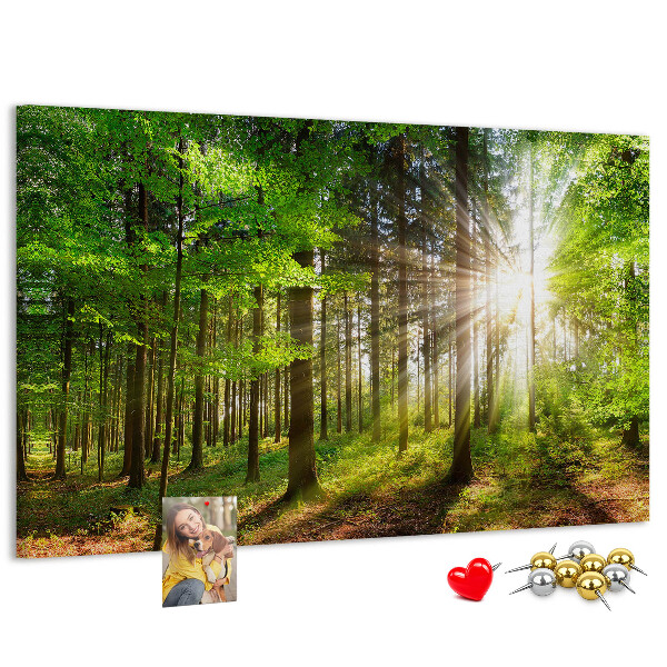 Korktafel mit dem Motiv Sonnenstrahlen im grünen Wald