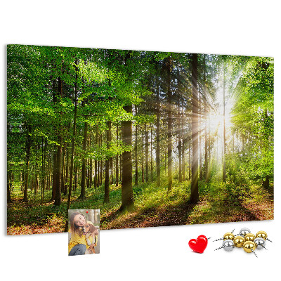 Korktafel mit dem Motiv Sonnenstrahlen im grünen Wald