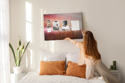Korktafel mit Motiv Sonnenuntergang über einem grasbewachsenen Feld