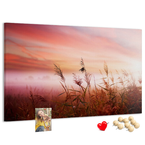 Korktafel mit Motiv Sonnenuntergang über einem grasbewachsenen Feld