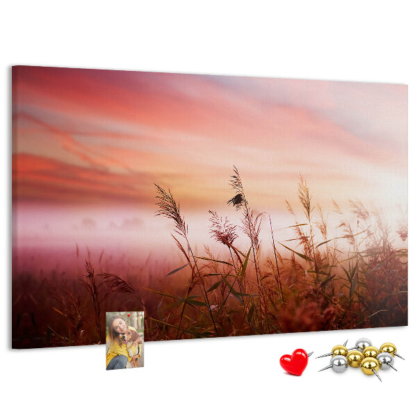 Korktafel mit Motiv Sonnenuntergang über einem grasbewachsenen Feld