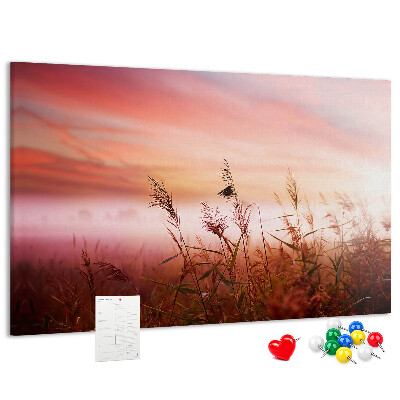 Korktafel mit Motiv Sonnenuntergang über einem grasbewachsenen Feld