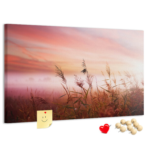 Korktafel mit Motiv Sonnenuntergang über einem grasbewachsenen Feld