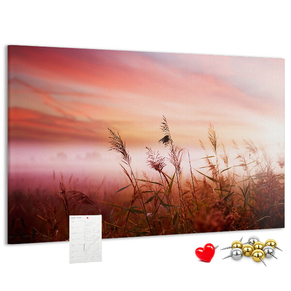 Korktafel mit Motiv Sonnenuntergang über einem grasbewachsenen Feld
