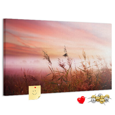 Korktafel mit Motiv Sonnenuntergang über einem grasbewachsenen Feld