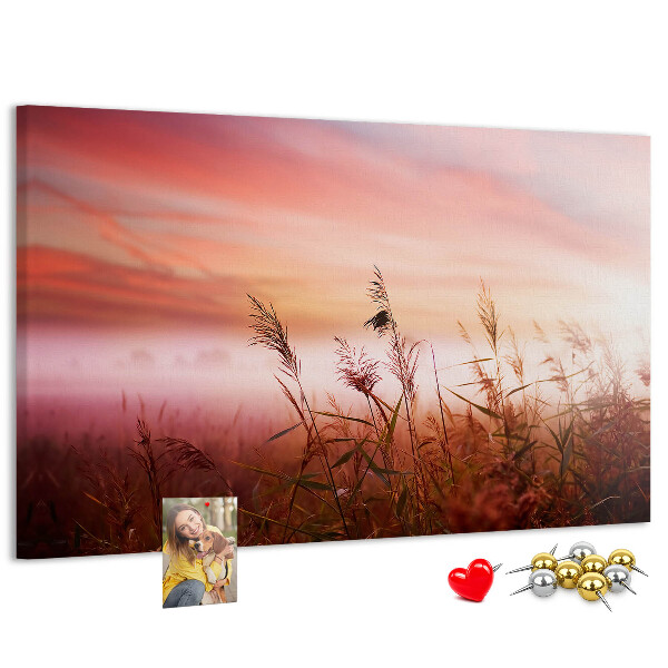 Korktafel mit Motiv Sonnenuntergang über einem grasbewachsenen Feld