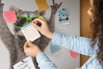 Korktafel mit Motiv verrückter Waschbär mit grüner Brille
