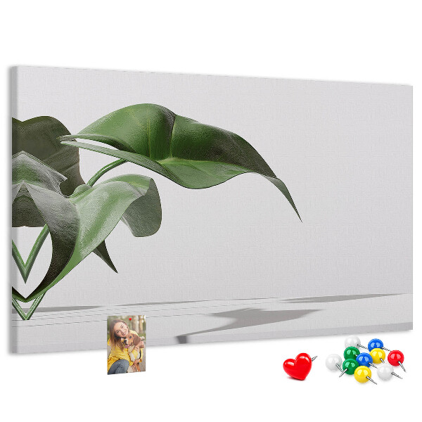 Kork-Pinnwand zarte Blätter auf minimalistischem Hintergrund