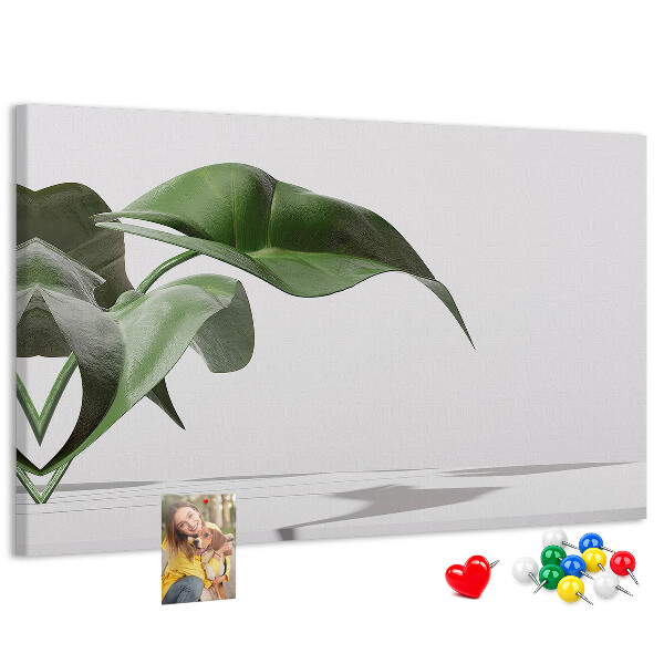 Kork-Pinnwand zarte Blätter auf minimalistischem Hintergrund
