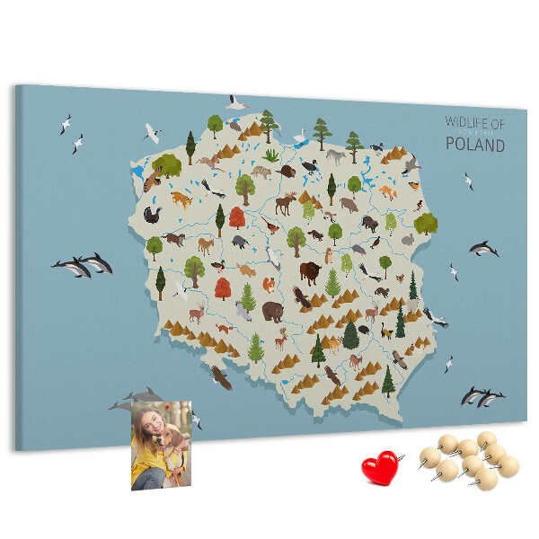 Bild mit Korkrückwand polnische Fauna auf einer farbenfrohen Karte