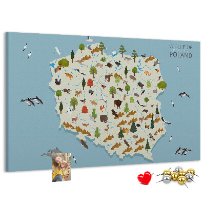 Bild mit Korkrückwand polnische Fauna auf einer farbenfrohen Karte