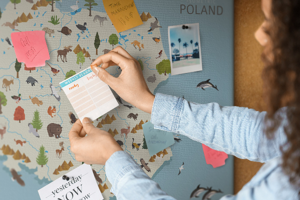 Bild mit Korkrückwand polnische Fauna auf einer farbenfrohen Karte