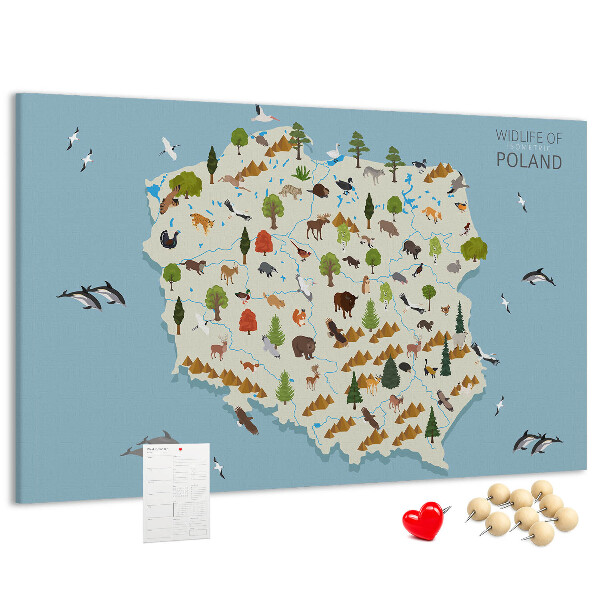 Bild mit Korkrückwand polnische Fauna auf einer farbenfrohen Karte