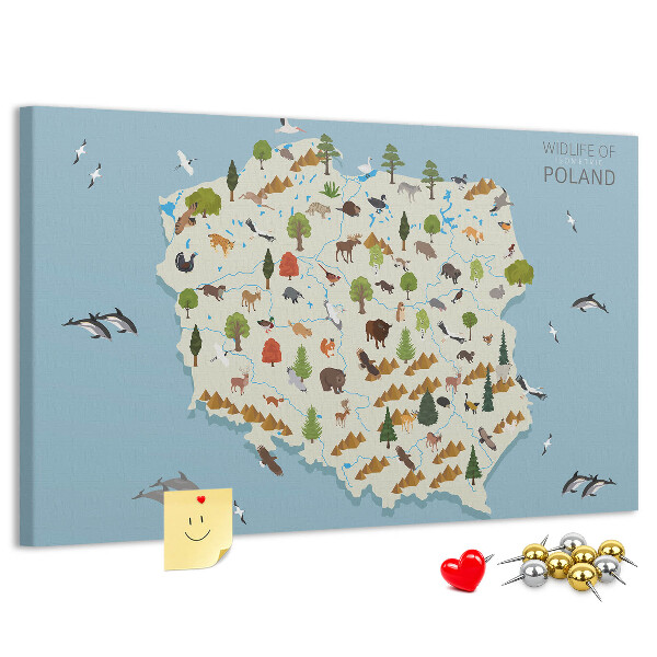 Bild mit Korkrückwand polnische Fauna auf einer farbenfrohen Karte
