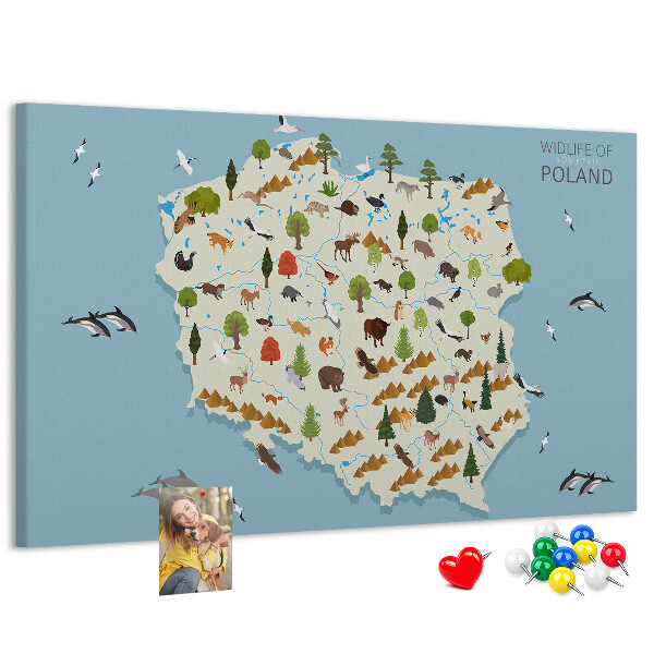 Bild mit Korkrückwand polnische Fauna auf einer farbenfrohen Karte