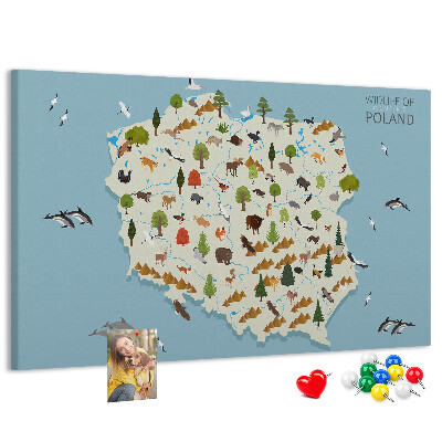 Bild mit Korkrückwand polnische Fauna auf einer farbenfrohen Karte
