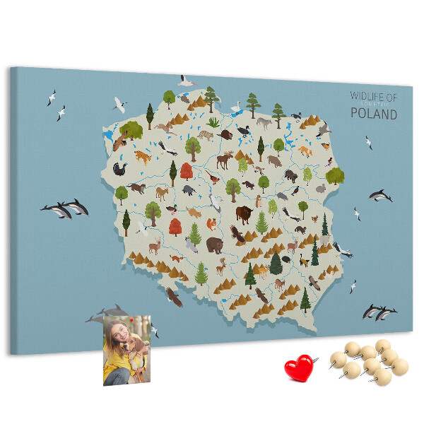 Bild mit Korkrückwand polnische Fauna auf einer farbenfrohen Karte