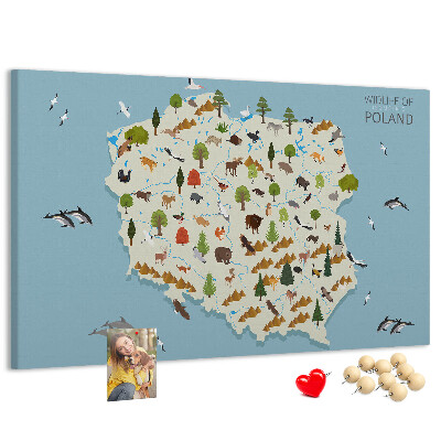 Bild mit Korkrückwand polnische Fauna auf einer farbenfrohen Karte