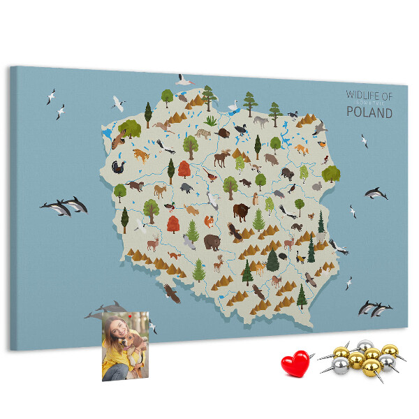 Bild mit Korkrückwand polnische Fauna auf einer farbenfrohen Karte