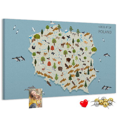 Bild mit Korkrückwand polnische Fauna auf einer farbenfrohen Karte