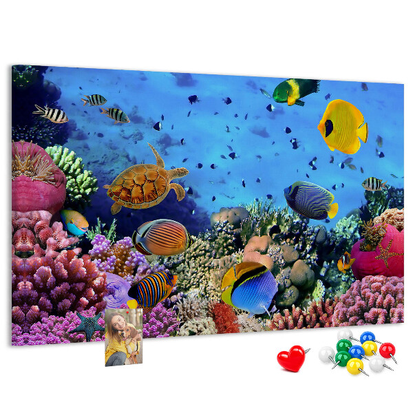 Korktafel mit Motiv einer tropischen Unterwasserwelt voller Farben und Fische