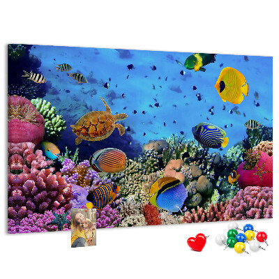 Korktafel mit Motiv einer tropischen Unterwasserwelt voller Farben und Fische