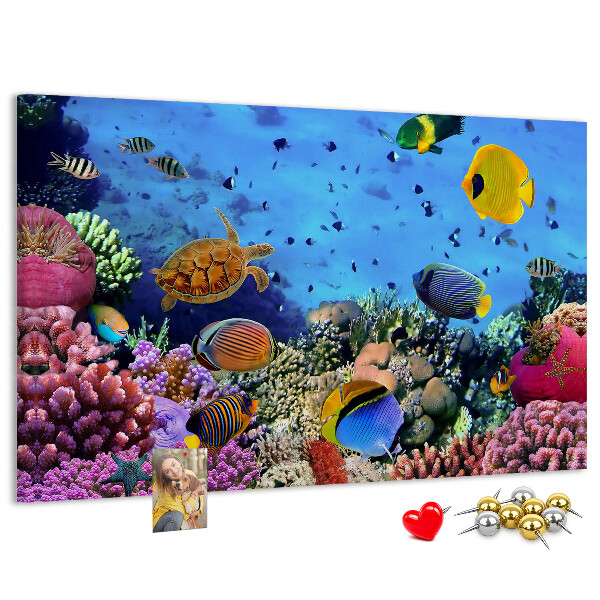 Korktafel mit Motiv einer tropischen Unterwasserwelt voller Farben und Fische