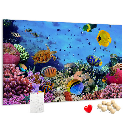 Korktafel mit Motiv einer tropischen Unterwasserwelt voller Farben und Fische