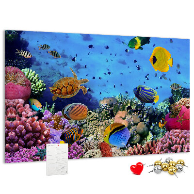 Korktafel mit Motiv einer tropischen Unterwasserwelt voller Farben und Fische