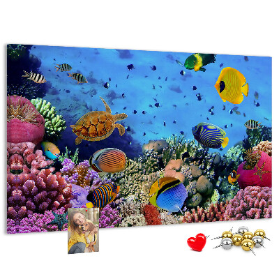 Korktafel mit Motiv einer tropischen Unterwasserwelt voller Farben und Fische