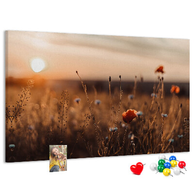 Korktafel mit Motiv Goldenes Mohnfeld im Sonnenuntergang