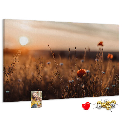Korktafel mit Motiv Goldenes Mohnfeld im Sonnenuntergang
