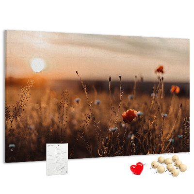 Korktafel mit Motiv Goldenes Mohnfeld im Sonnenuntergang
