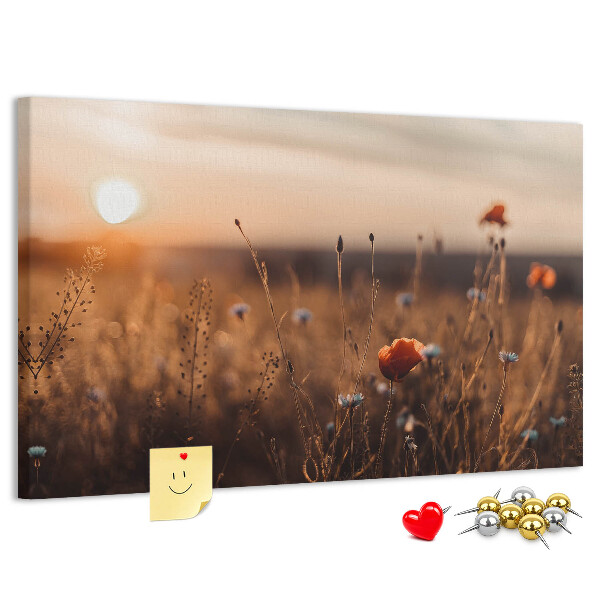 Korktafel mit Motiv Goldenes Mohnfeld im Sonnenuntergang