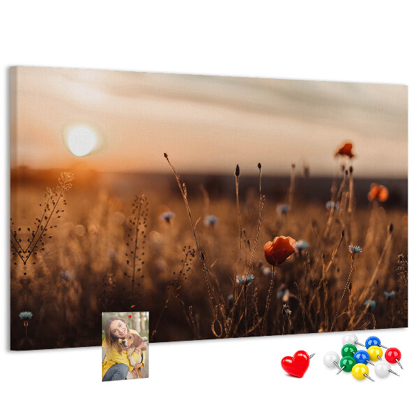 Korktafel mit Motiv Goldenes Mohnfeld im Sonnenuntergang