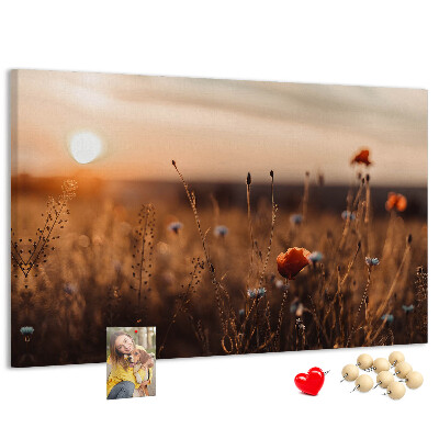 Korktafel mit Motiv Goldenes Mohnfeld im Sonnenuntergang