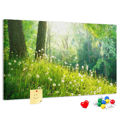 Korktafel grüner Wald mit blühenden Löwenzahnblüten