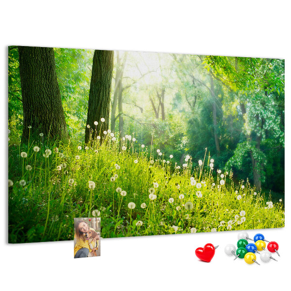 Korktafel grüner Wald mit blühenden Löwenzahnblüten