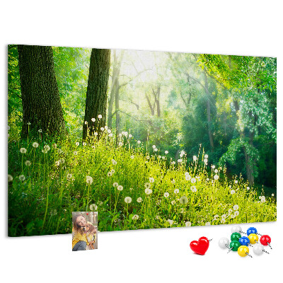 Korktafel grüner Wald mit blühenden Löwenzahnblüten