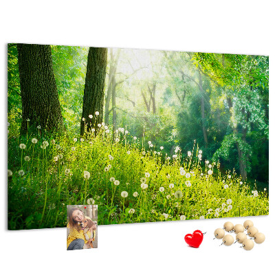Korktafel grüner Wald mit blühenden Löwenzahnblüten